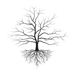 Tree with roots and without leaves. Black silhouette of tree. Vector illustration.