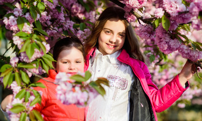 blossom smell, allergy. Sisterhood. small girl children in spring flower bloom. Natural cosmetics for skin. happy sisters in cherry flower. Sakura blooming. summer. Childhood beauty. Family day