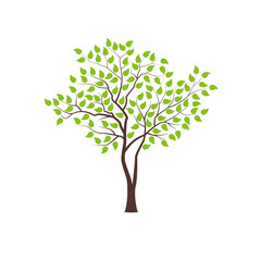 Obraz premium Tree with green foliage. Landscape design, nature, forest of garden symbol. Vector illustration.