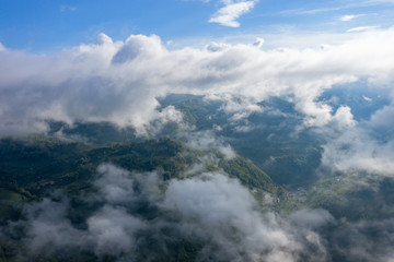 Tea Plantations at Cameron Highlands Malaysia. Sunrise in early morning with fog.