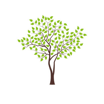Tree with green foliage. Landscape design, nature, forest of garden symbol. Vector illustration.