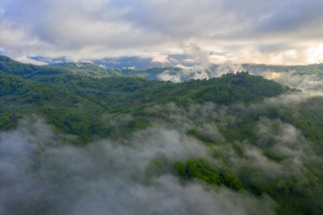 Tea Plantations at Cameron Highlands Malaysia. Sunrise in early morning with fog.