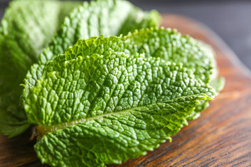 Leaves of fresh green mint, closeup