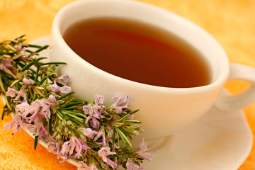Rosemary infusion (Rosmarinus officinalis)