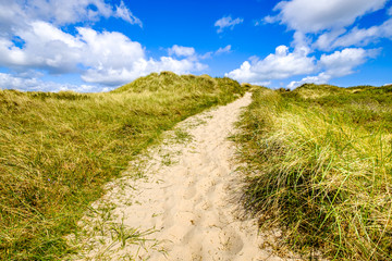 Obraz premium sand dune