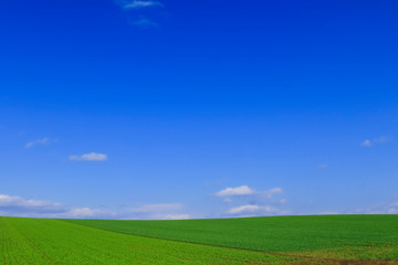日本　北海道　地平線まで続く草原