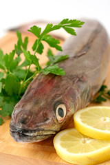 Uncooked hake.