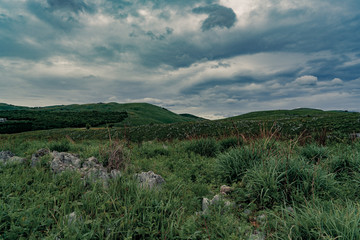 Obraz premium 草原