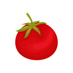 Red tomato closeup. Vector illustration on white background.