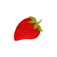 Red ripe strawberries close up. Vector illustration on white background.