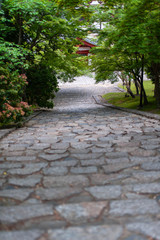 綺麗な新緑と長い石段