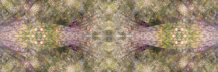 Colorful Fractal Background