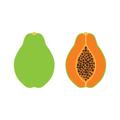Papaya fruit icon symbol. Vector eps10