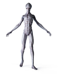 3d rendered illustration of an alien isolated on white © Sebastian Kaulitzki