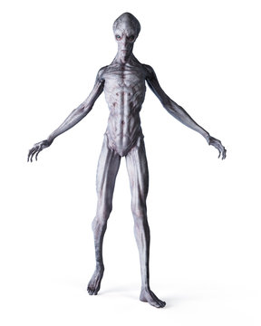 3d rendered illustration of an alien isolated on white