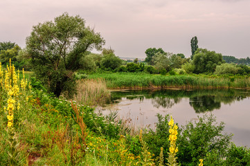 Fototapeta na wymiar River landscape with trees, reflection