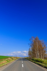 日本　北海道　絶景の道と青空