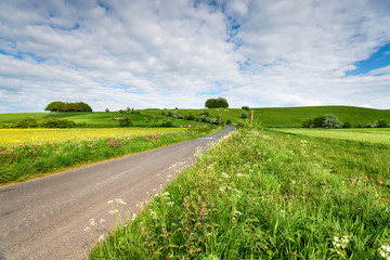 Hackpen Hill and it's White Horse near Swindon