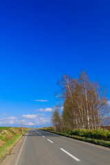 Fototapeta premium 日本 北海道 絶景の道と青空