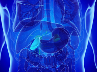 3d rendered medically accurate illustration of a mans gallbladder