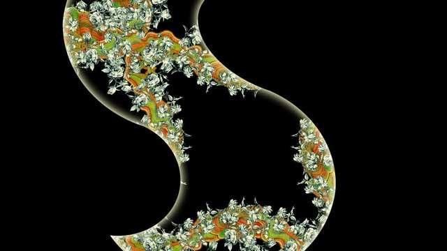 Letter S.