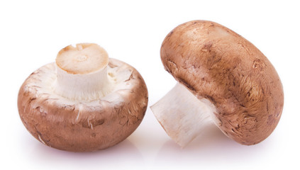 Fresh mushrooms on white background