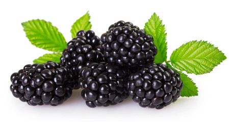 Fresh blackberry on white background - 269998314
