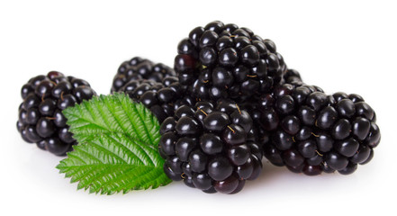 Fresh blackberry on white background