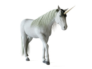 Naklejka na ściany i meble 3d rendered illustration of a unicorn isolated on white