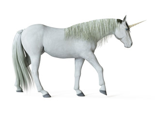 Obraz na płótnie Canvas 3d rendered illustration of a unicorn isolated on white