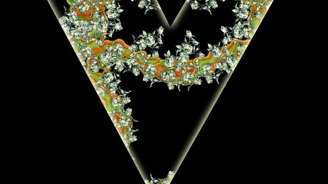 Letter V.