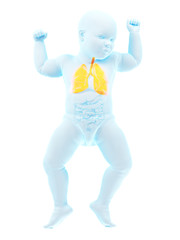 3d rendered medically accurate illustration of a babys stomach