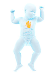 3d rendered medically accurate illustration of a babys heart