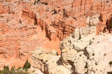 landscape on the bryce canyon in the united states of america