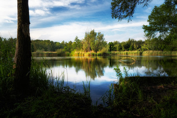 Fototapeta na wymiar Walenhoek, Niel, Belgium: Beautiful small lake at golden hour