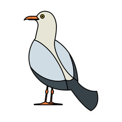 seagull marine animal icon vector illustration