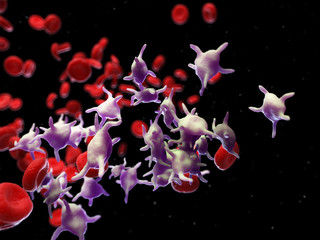 3d rendered medically accurate illustration of platelets - obrazy, fototapety, plakaty