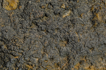 Sea stones texture and background, rock yellow and brown texture