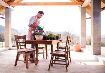A portrait of young man gardener outdoors at home, planting flowers.