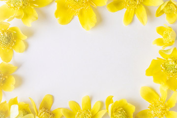 Summer flower concept - yellow buttercups close-up frame a light background. Bright stylish macro photography. Minimalism, summer mood, harmonious combination of colors. Copy space, top view, flat lay