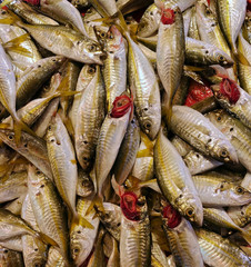Fish Food in a Fish Market Stand