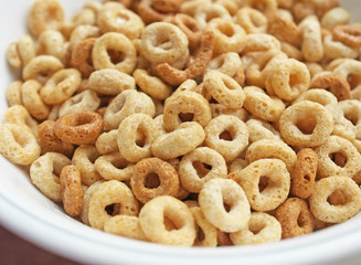 Bowl of multigrain cereal with no milk 