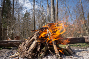 Blazing camp fire in a forest or woodland