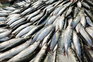Fototapeta premium Fish Food in a Fish Market Stand