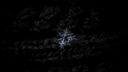 Real snowflakes at high magnification. Macro photo of snow crystals with elegant complex shapes, long thin arms and side branches