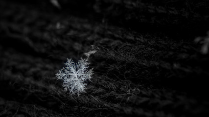 a natural, real snowflake close-up in black and white. fragment of snow