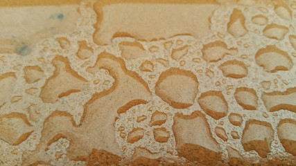 Water drops on wooden floor.