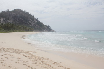 private island beach seychelles palm coconut sand sun