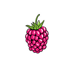 Raspberry cartoon illustration t-shirt print colorful vector
