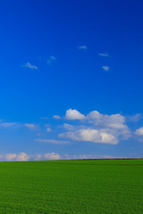 Fototapeta premium 日本 北海道 草原と青空の絶景